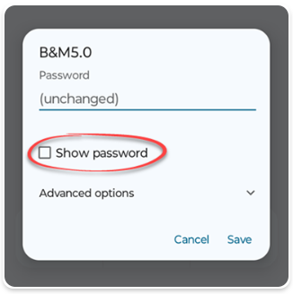 Example WiFi password screenshot, Show password checkbox option