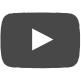 Play Video Icon